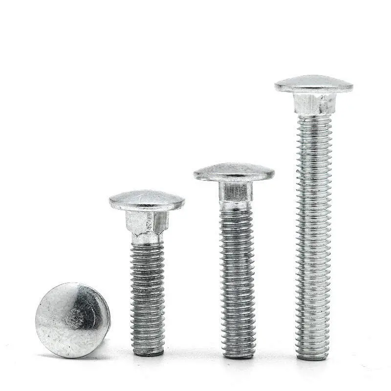 Factory supply Stainless steel carriage bolt, DIN 603 Mushroom Head Square Neck Bolts with nut DIN555