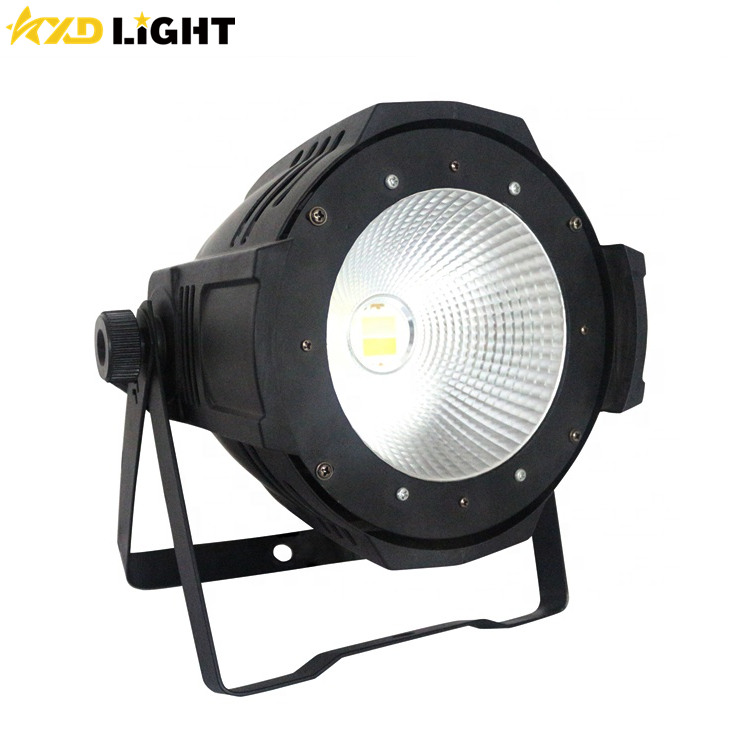 100W COB Warm Cold White /RGBW/RGBWA/RGBWA+UV LED Par Light