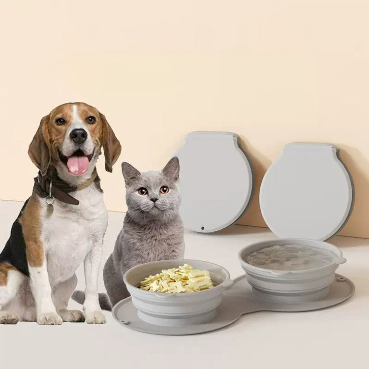 slow feeder dog bowl