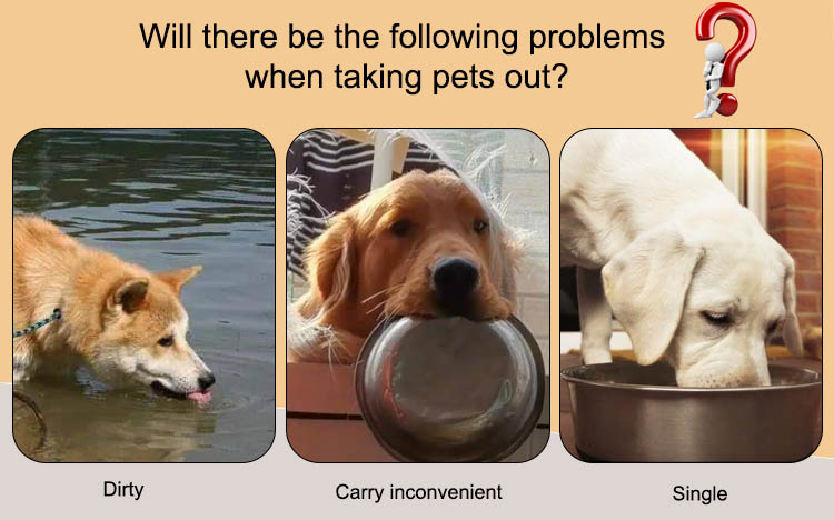 dog food bowl