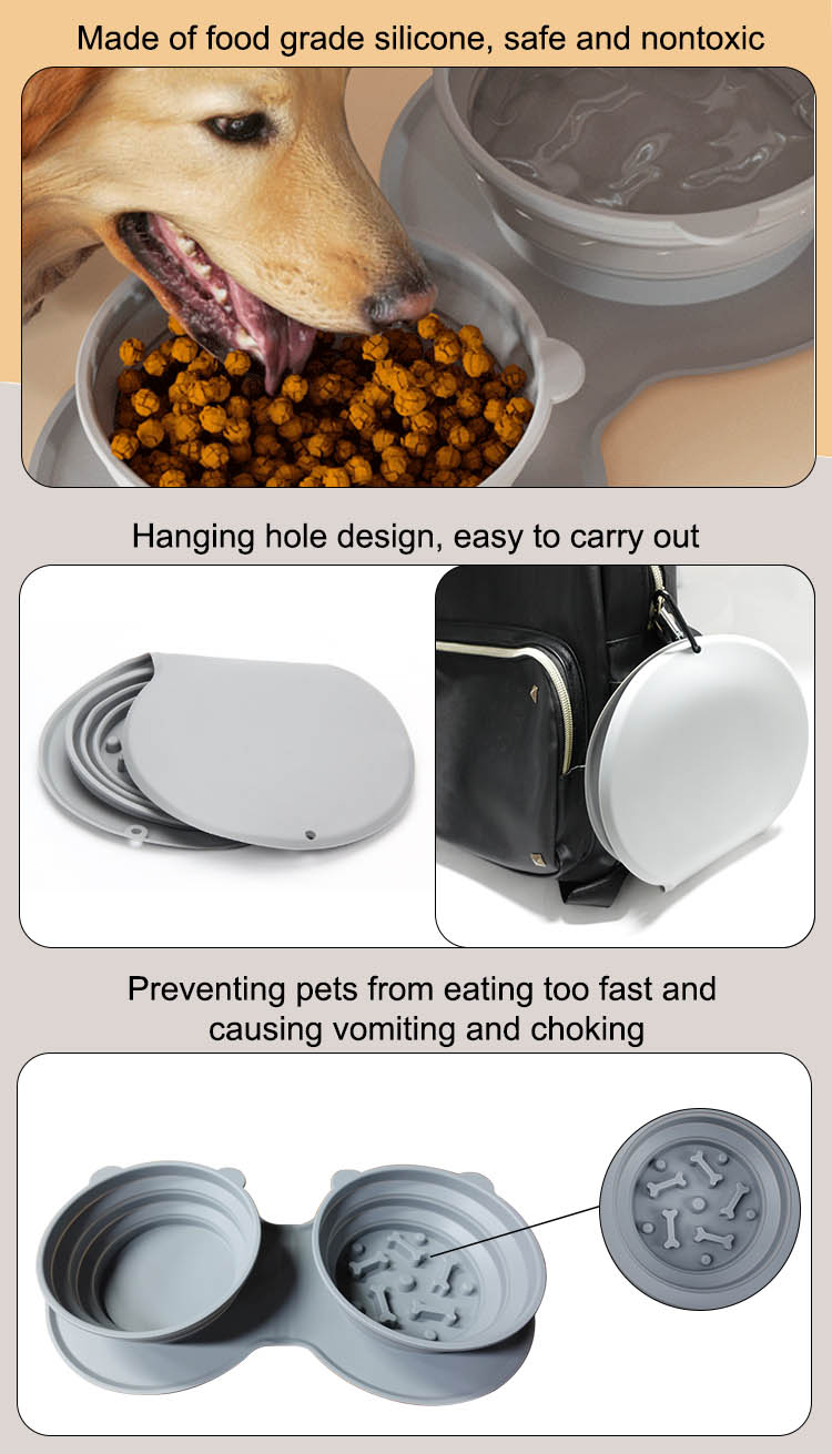 slow eating dog bowl