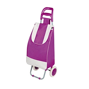 China Custom-made shopping trolley school bag