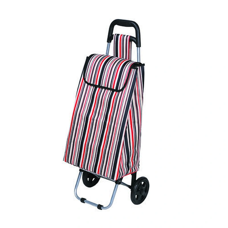 Fantastic adjustable supermarket push shopping trolley push cart for women