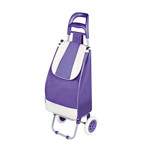 China Custom-made shopping trolley school bag