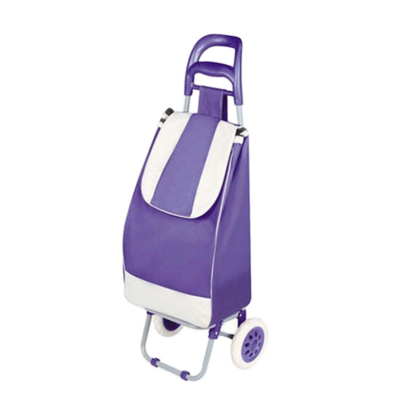 China Custom-made shopping trolley school bag