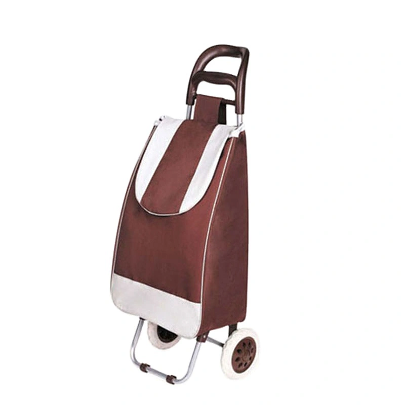 China Custom-made shopping trolley school bag