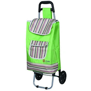 Fantastic adjustable supermarket push shopping trolley push cart for women