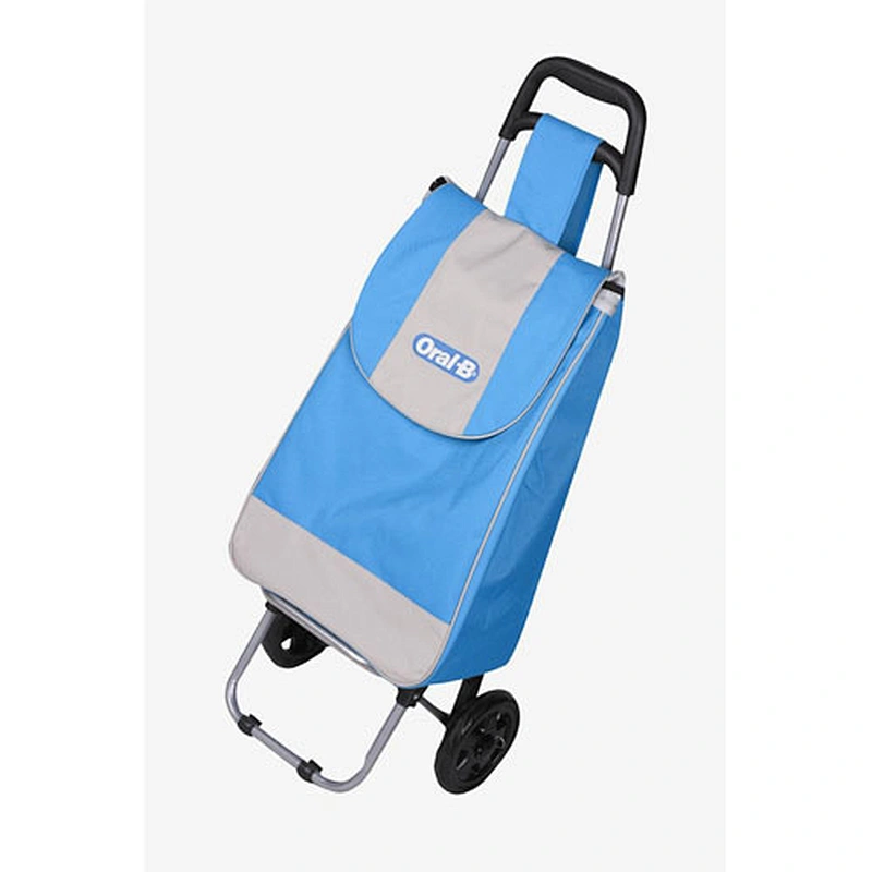 Manufacture cheap shopping luggage bag ,folding trolley bags