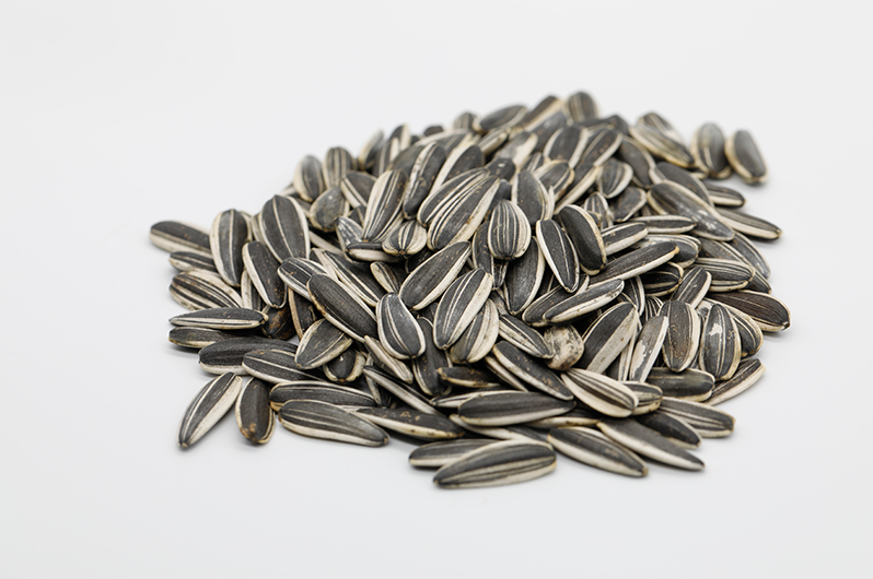 300g PASSION spiced flavor sunflower seeds