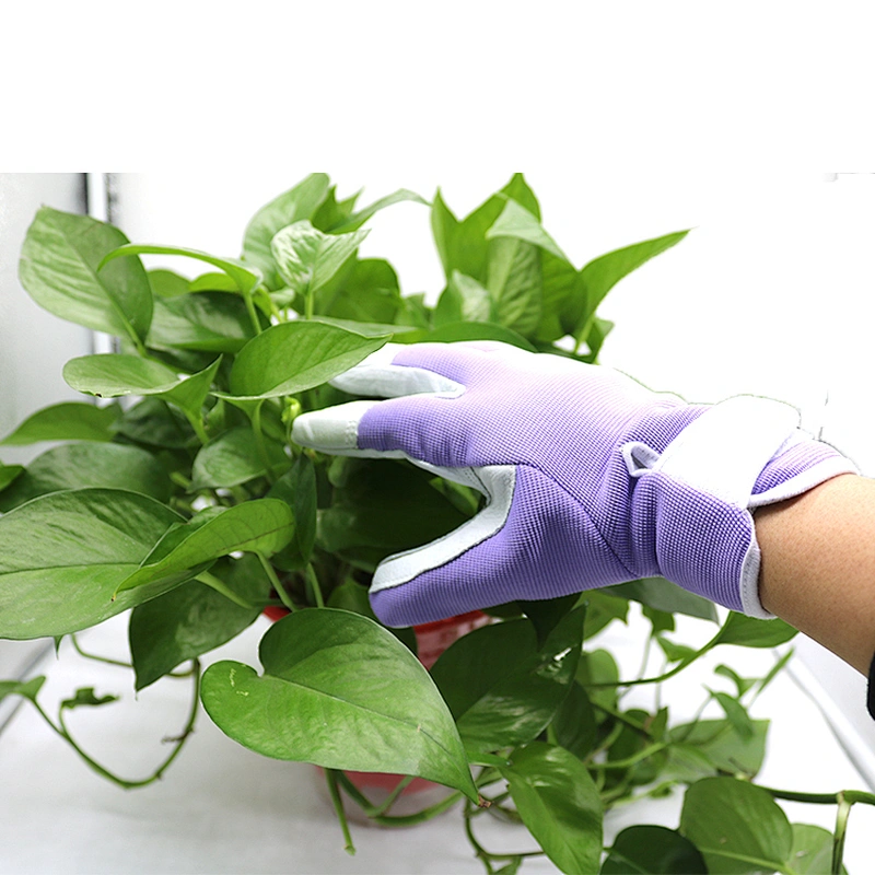Gardens Collection Garden Gloves Labor Supply Goat Skin Leather Palm Gardening Gloves Floral