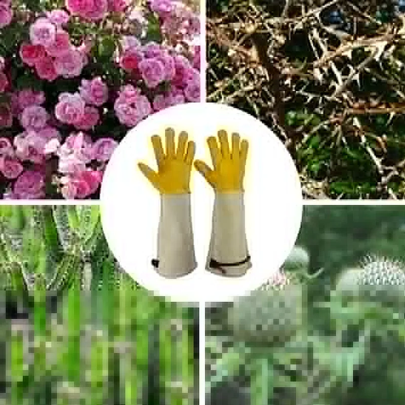 Cow Leather Gardening Gloves with Forearm Protection, Natural