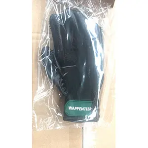 Hot Selling New Design Eco-Friendly Pet Dog Hair Remover Grooming Glove