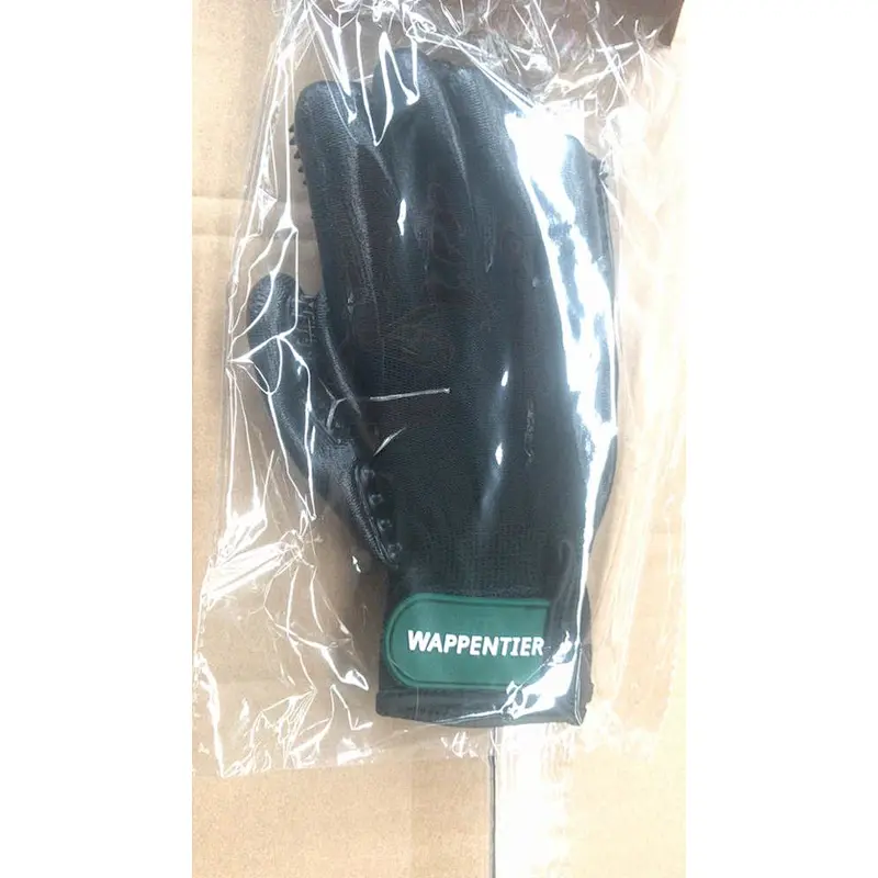 Hot Selling New Design Eco-Friendly Pet Dog Hair Remover Grooming Glove