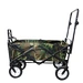 2022 Hot Sale Electric Fishing Big My Outdoor Camping Folding With Wheel Beach Cart