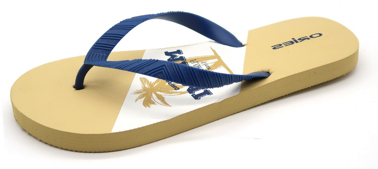 Flip Flops,flip flops for men,flip flops for women