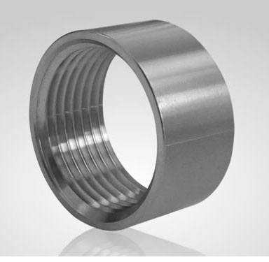 Stainless Steel Threaded Pipe Half Couplings fitting