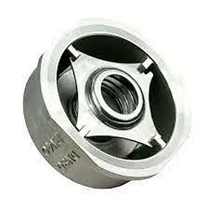 PN40 Stainless Steel Wafer Type Disc Check Valve,Flange Check Valve