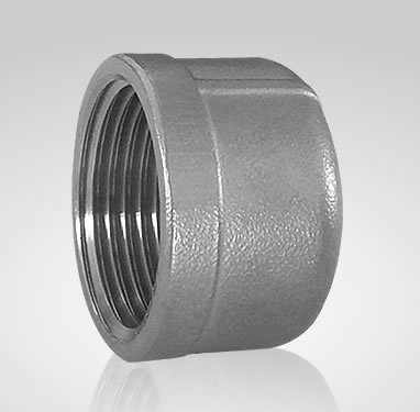 stainless steel screwed round blanking cap