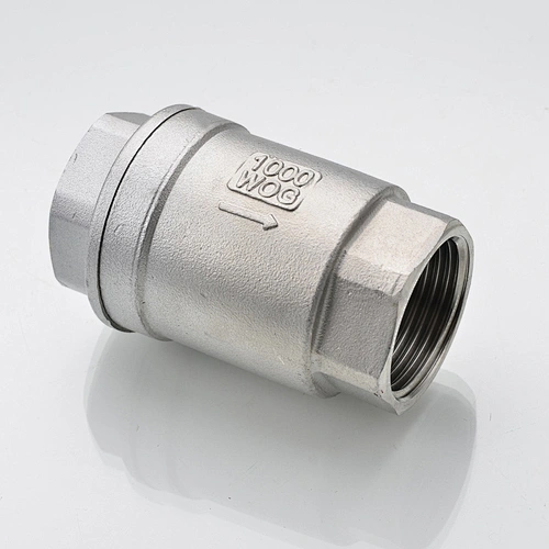 1000psi stainless steel 2pc spring vertical check valve