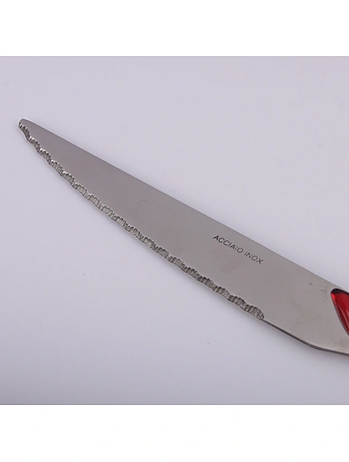 plastic handle flatware knife