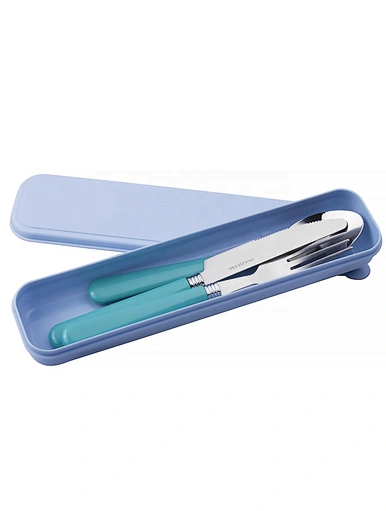 portable silverware with plastic handles