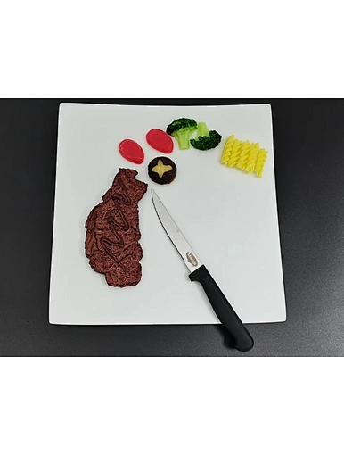 kitchen steak knife, german serrated steak knives