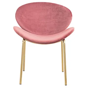 New Design Luxury Dinning Chair With Great Price