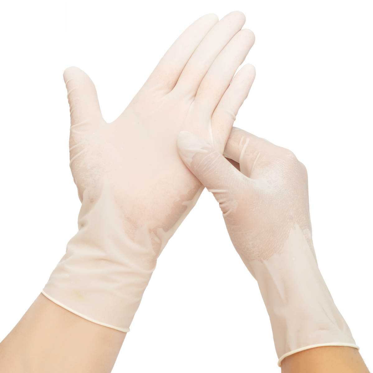 Latex Exam gloves