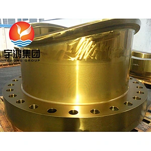 Reinforcing nozzles ,ASTM A182 , F304, F304L , F310, F316L, F316H, F316TI, F317, F317L, F321, F321H, F347, F347H, F904L