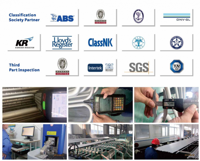 YUHONG Third Party Inspection