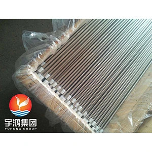 ASTM A269 TP304 / 304L Bright Annealed SS SMLS Tube