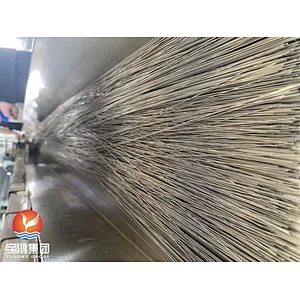 TP304/304L/316/316L  SS Capillary Tube  Semi-Soft & Completely Soft
