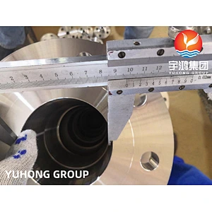 ASTM B462  AL-6XN (NO8367)  WNRF FLANGE DIN 1.4501