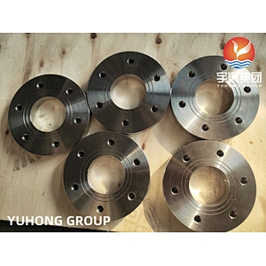 ASTM A182 F316L FLAT FACE SLIP ON FLANGE
