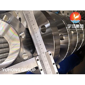 ASTM B462  AL-6XN (NO8367)  WNRF FLANGE DIN 1.4501