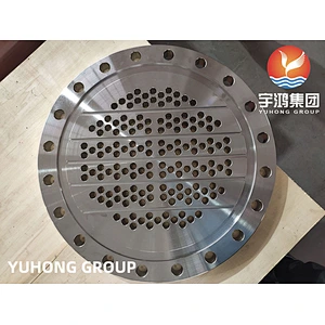 ASME SA182 F316L TUBESHEET