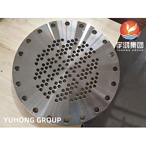 ASME SA182 F316L TUBESHEET