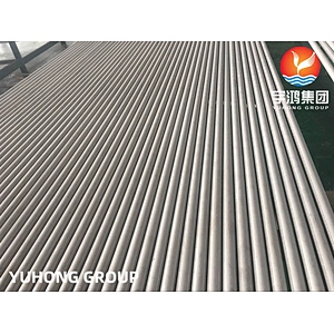 ASTM A213 TP321H BIOLER TUBE SS SMLS