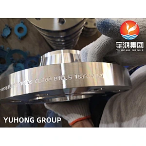 ASTM B462  AL-6XN (NO8367)  WNRF FLANGE DIN 1.4501