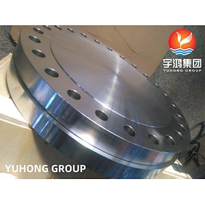 ASTM B564 NO6600 (INCONEL600) BLRF FLANGE