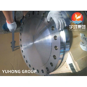 ASTM B564 NO6600 (INCONEL600) BLRF FLANGE