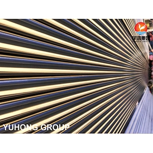 ASTM A269 TP316L BRIGHT ANNEALED SS SMLS TUBE