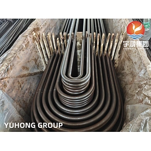 ASTM A688 TP304 SS U Bend Tube for Feedwater and Heater
