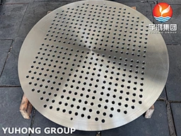 ASTM A182 F316L 1.4404 TUBESHEET