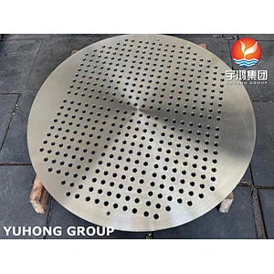 ASTM A182 F316L 1.4404 TUBESHEET