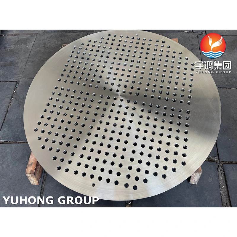 ASTM A182 F316L 1.4404 TUBESHEET