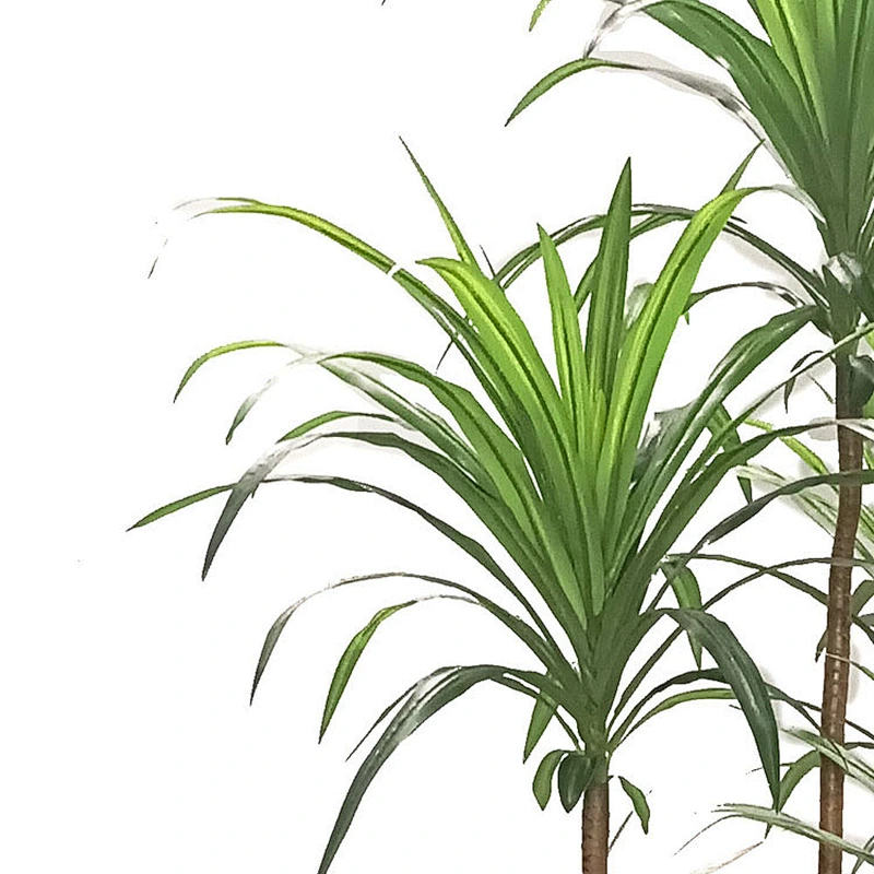 Factory Wholesale Fruticose Dracaena Tree Artificial Plants Indoor Display Greenery Dracaena