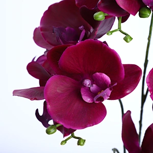 Factory Supply Artificial Flowers Faux Water Cymbidium Butterfly Orchid For Home Decoration