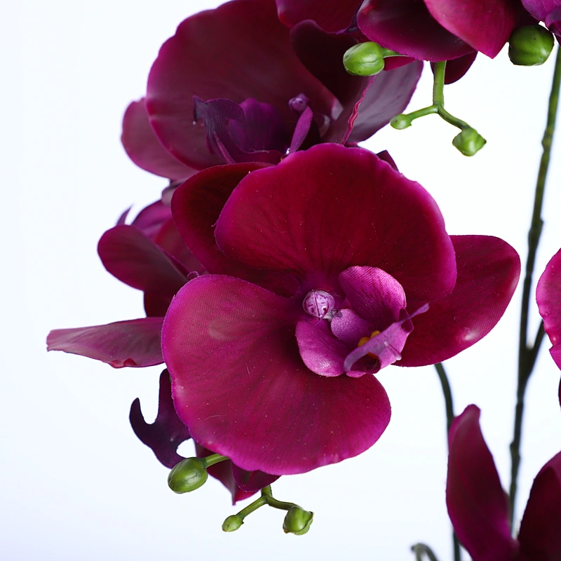 Factory Supply Artificial Flowers Faux Water Cymbidium Butterfly Orchid For Home Decoration