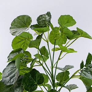 Factory Wholesale Price home green artificial plants artificial plants for living decoration